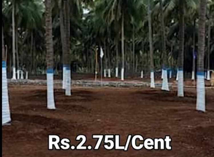 Farm Land Plot for Sale