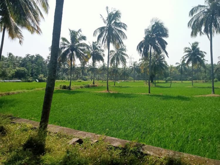 Agriculture FARM LAND FOR SALE