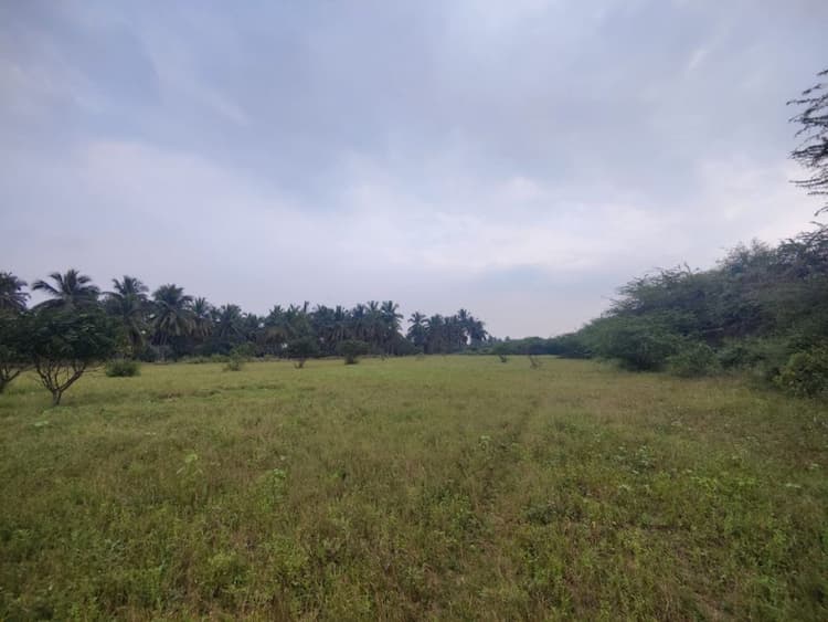 Farm land sale