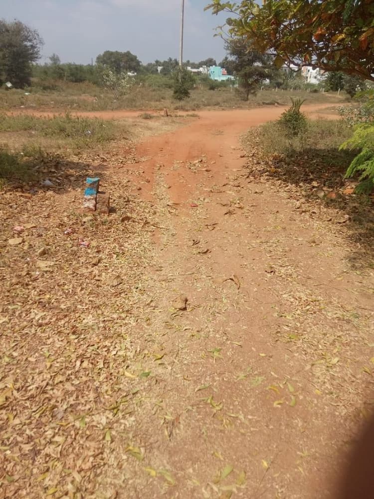 Plot sale