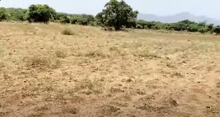 Low Budget land for Sale