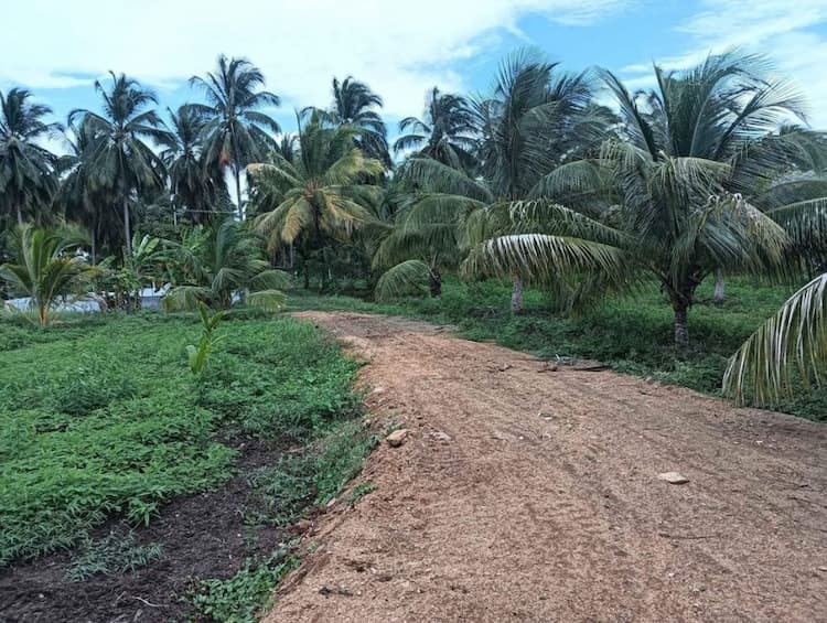 Single Property Image