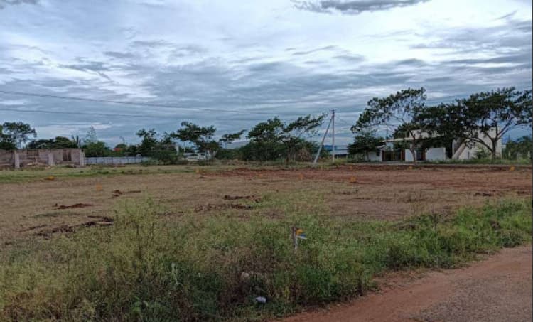 Single Property Image