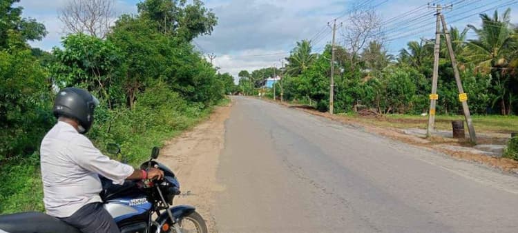 coconut farm land for sale