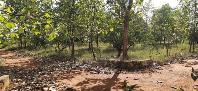 Single Property Image