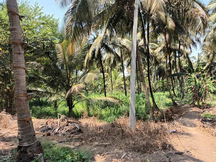 Single Property Image