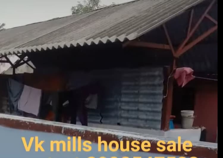 VK Mill House sales