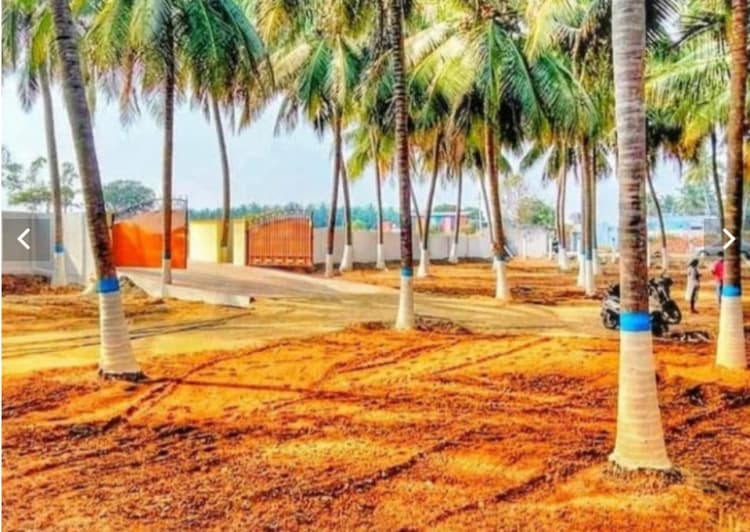 25 Cents, Land for sale in Kinathukadavu