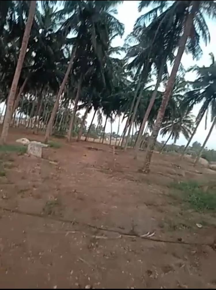 farm land for sale