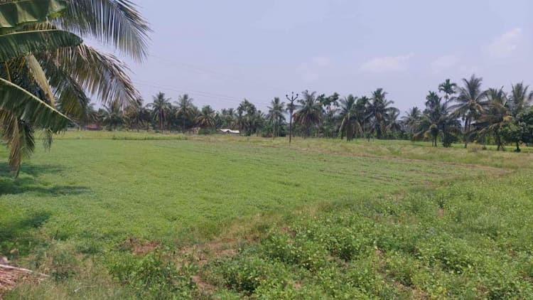 farm land for sale