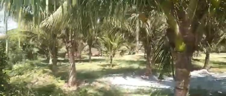 4 Acre Land for Sale