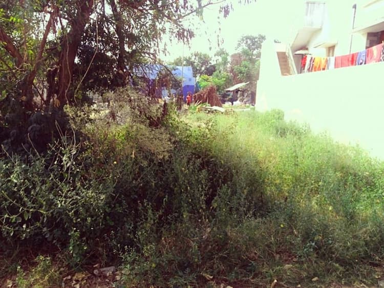 Single Property Image