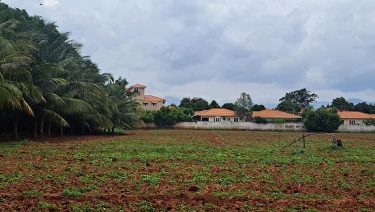 Land for Sale