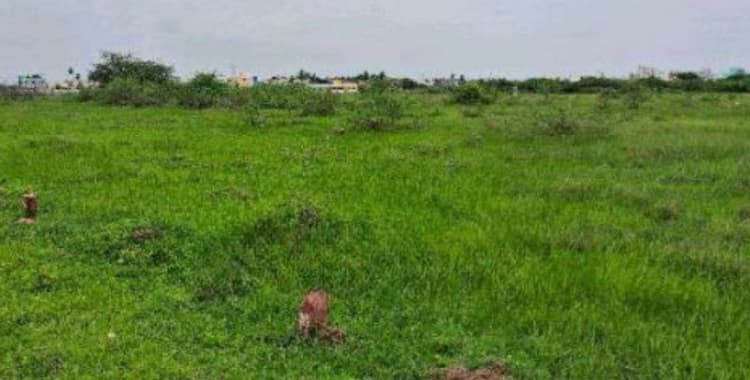 Land for sale