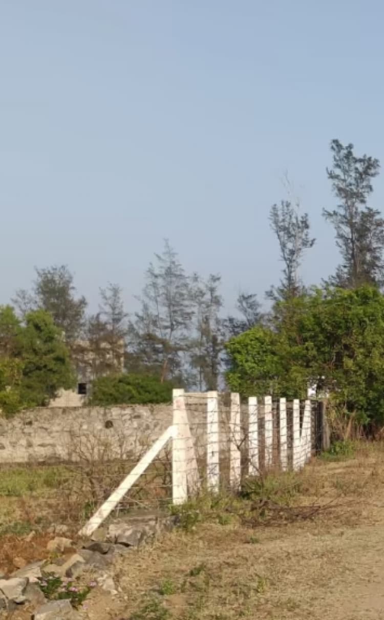 plot for sale 