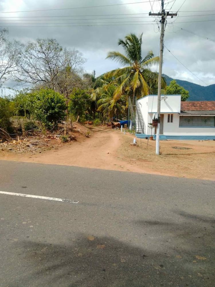 Single Property Image