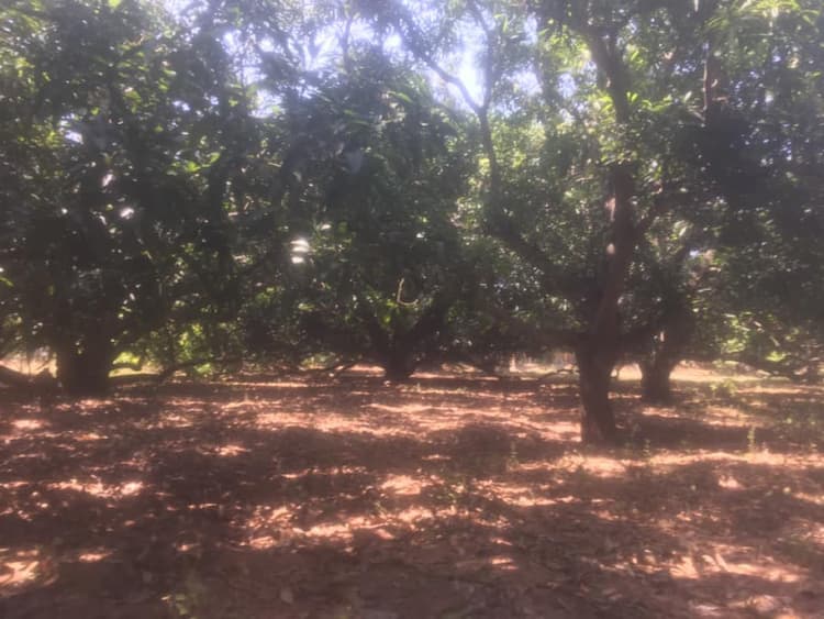  Farm Land sale