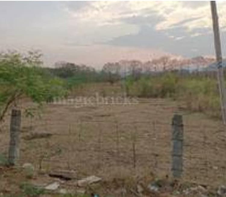Plot for sale