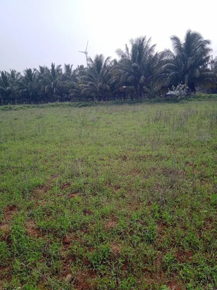 Land for Sale