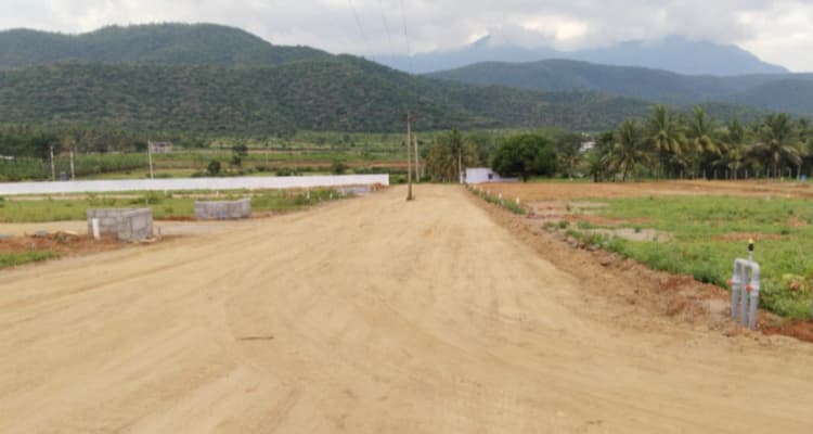 Single Property Image