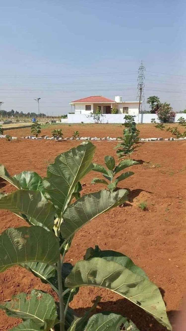 Single Property Image