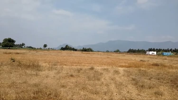 Empty Land for Sale