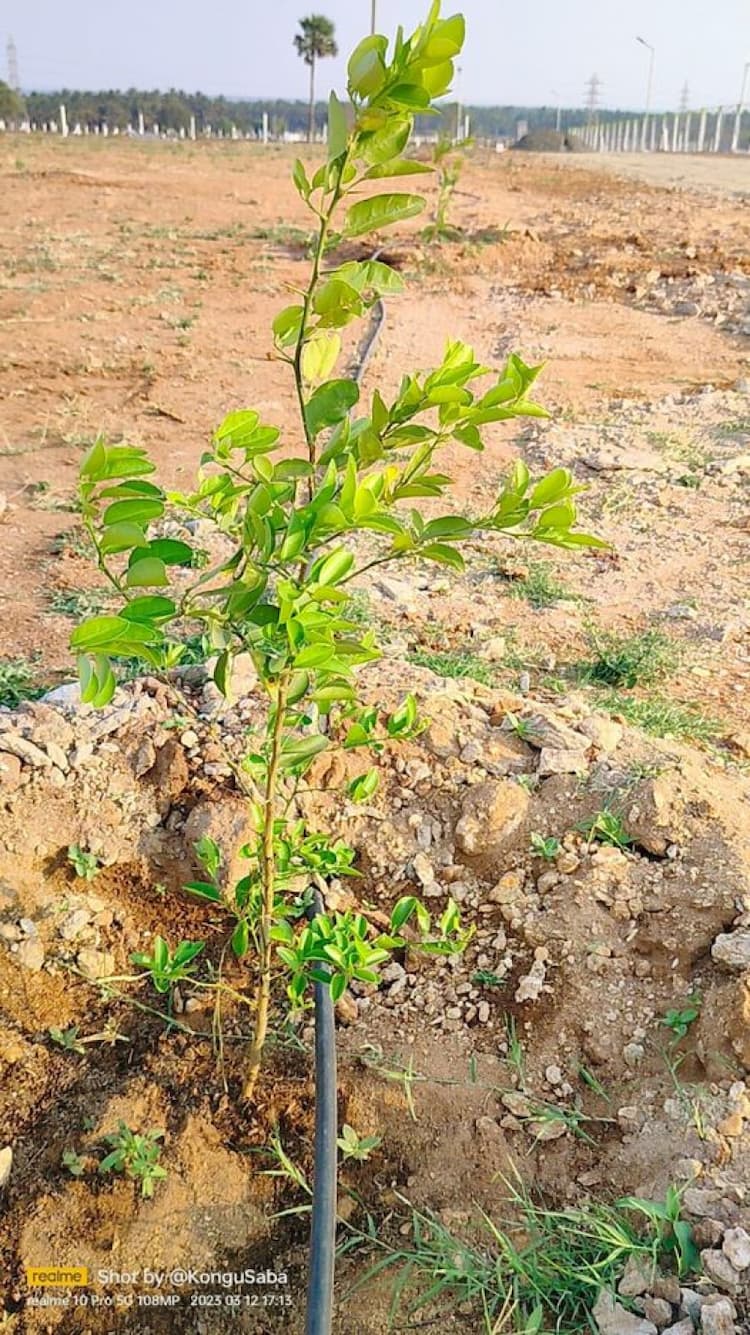 Single Property Image