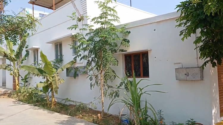 House and Company for Sale