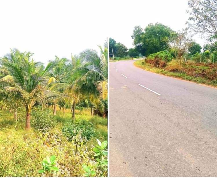 4 Acre 84 Cent Land for Farm