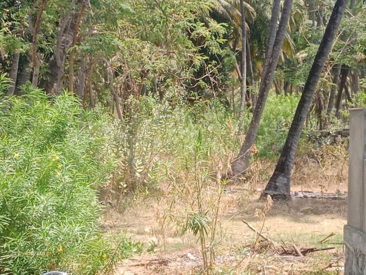 Single Property Image