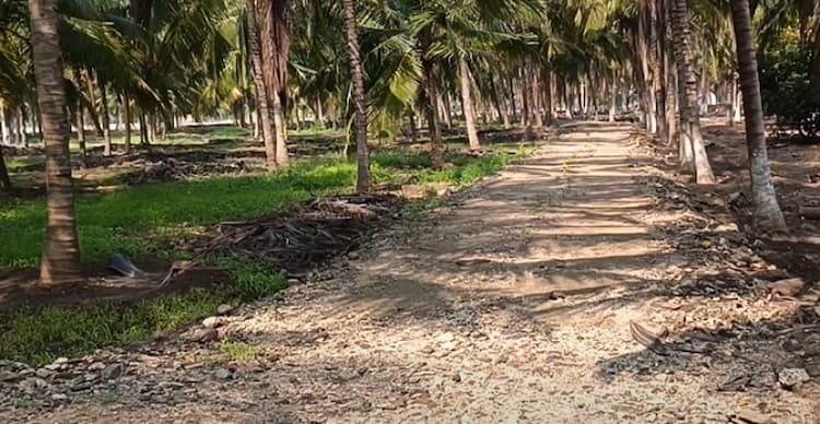 Single Property Image