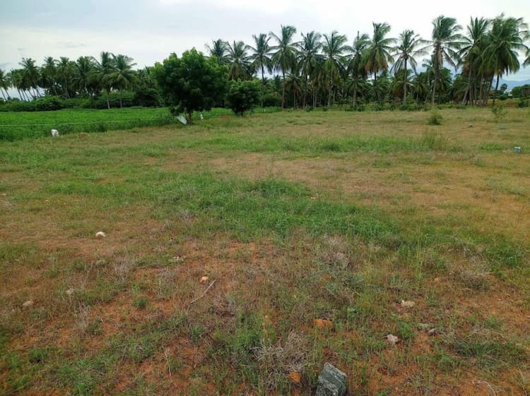 Land for sales