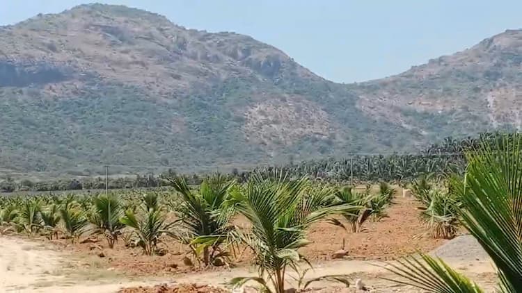 25 Acre Land for Sale