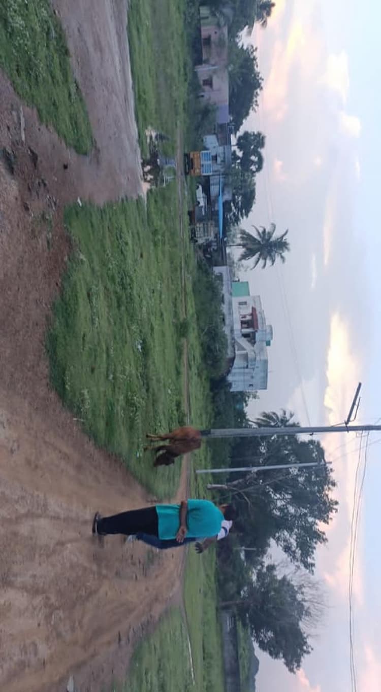 Single Property Image