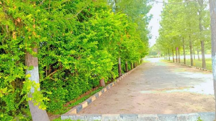 Jayani greens Residential Plot