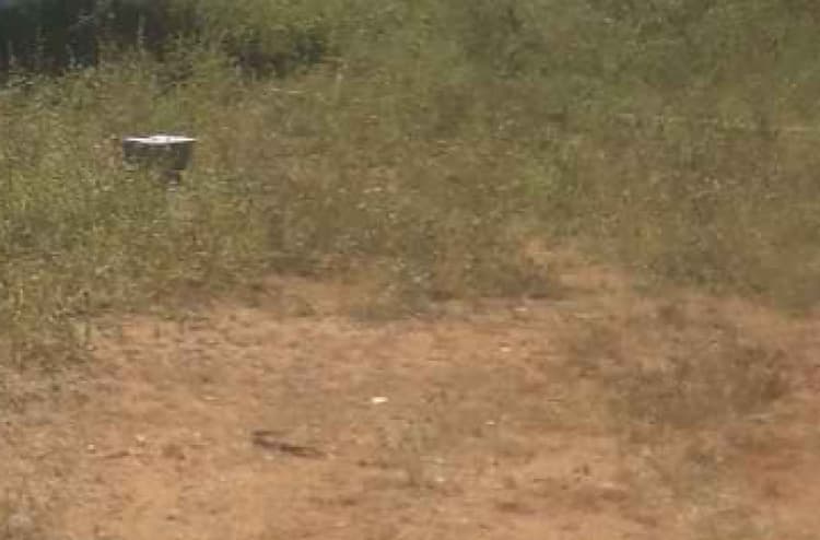 6.50 cent land for sales