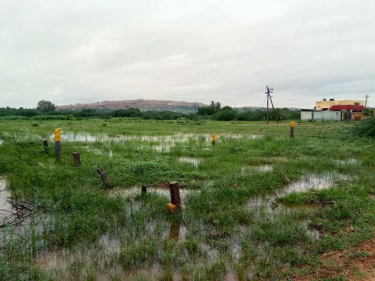 Plot sale