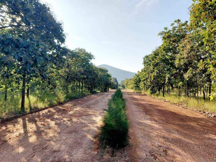 Single Property Image