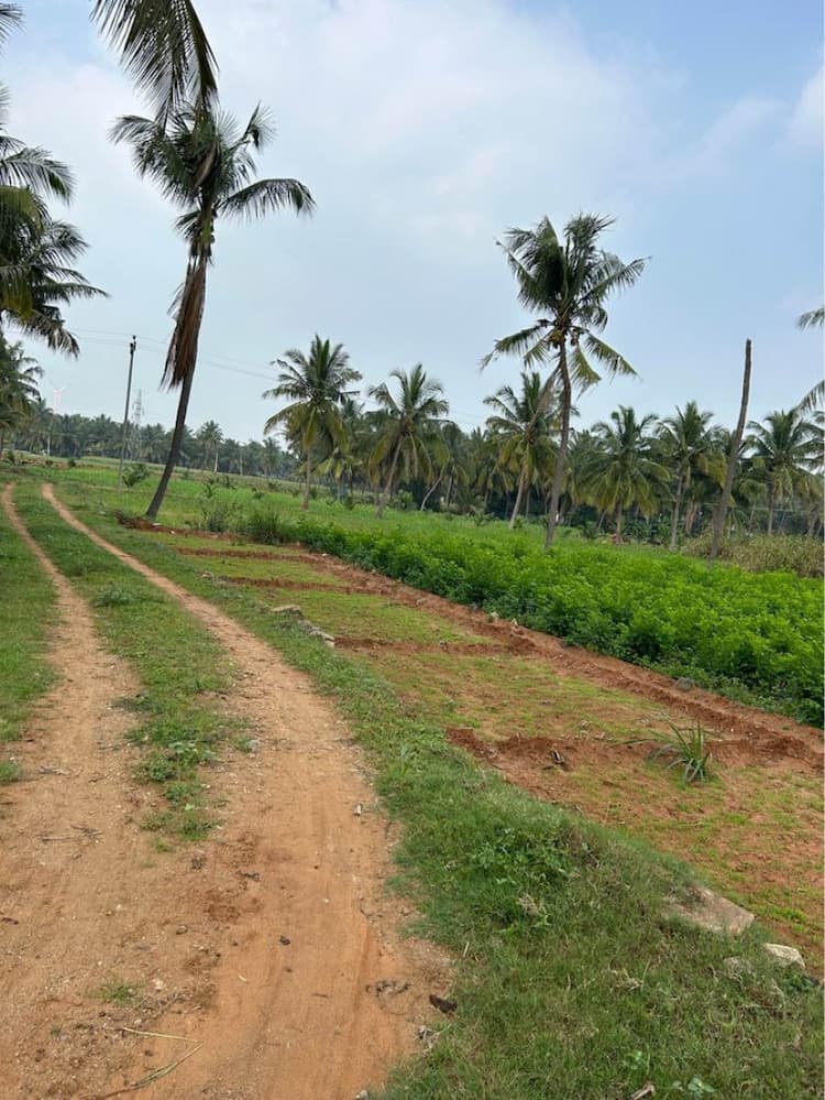Agricultural land for sale