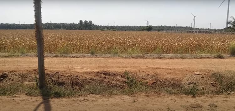 1.25 Acre Land for Sale