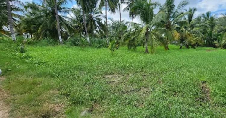 Single Property Image