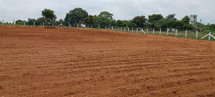 Single Property Image