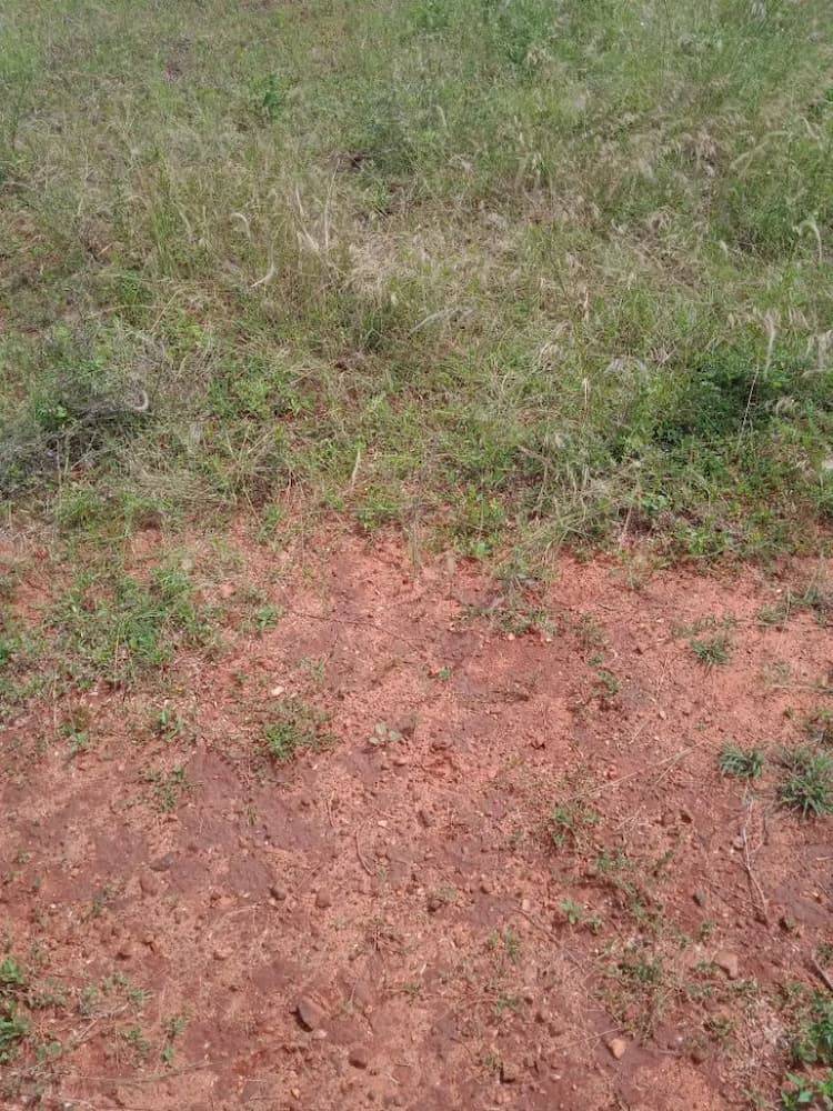 10 Acres Agriculture Land for Sale