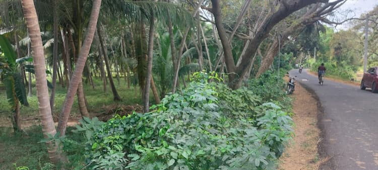 Single Property Image