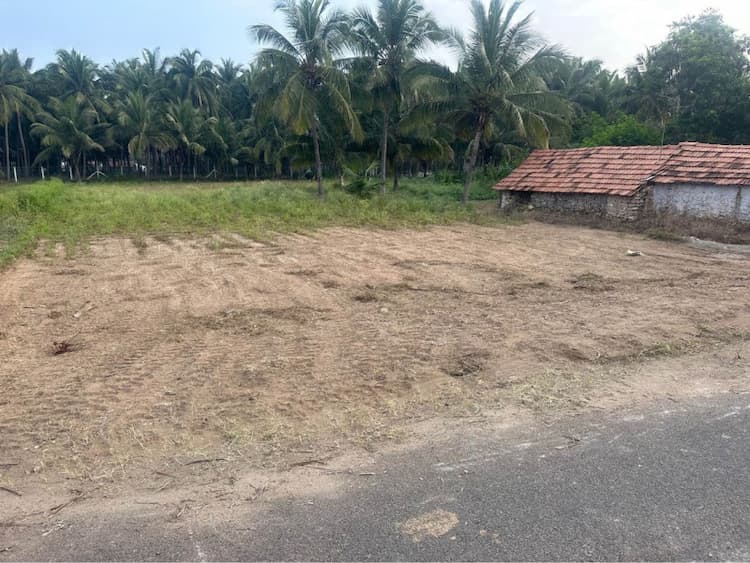 50 Cent Land for Sale