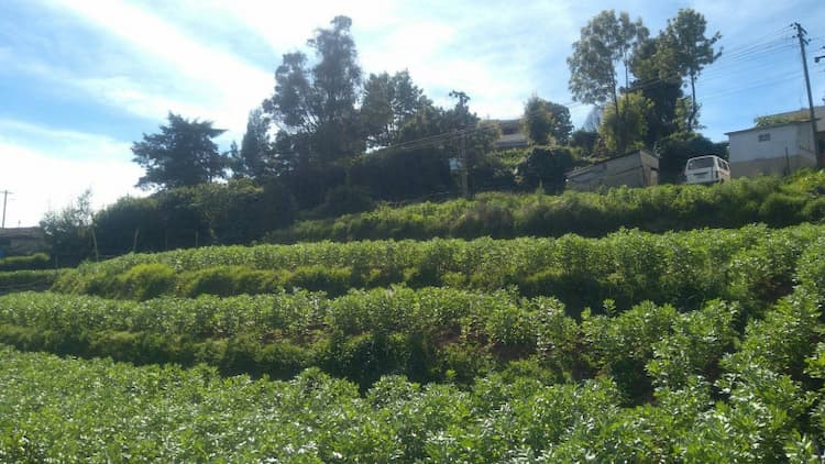 Single Property Image