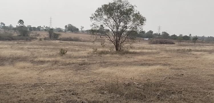 2 Acre Land for Sale