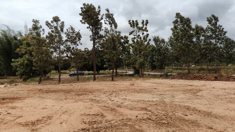 Single Property Image