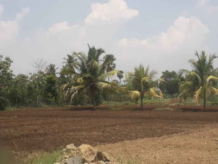Agri Land For Sale
