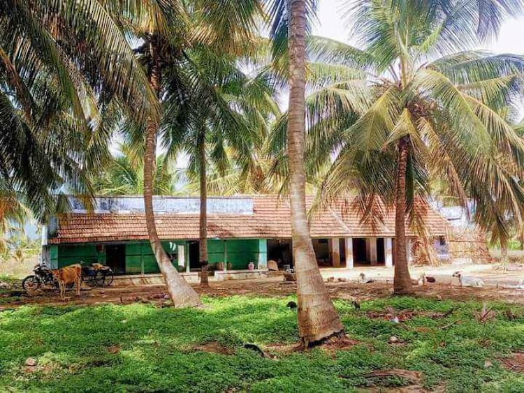 Single Property Image